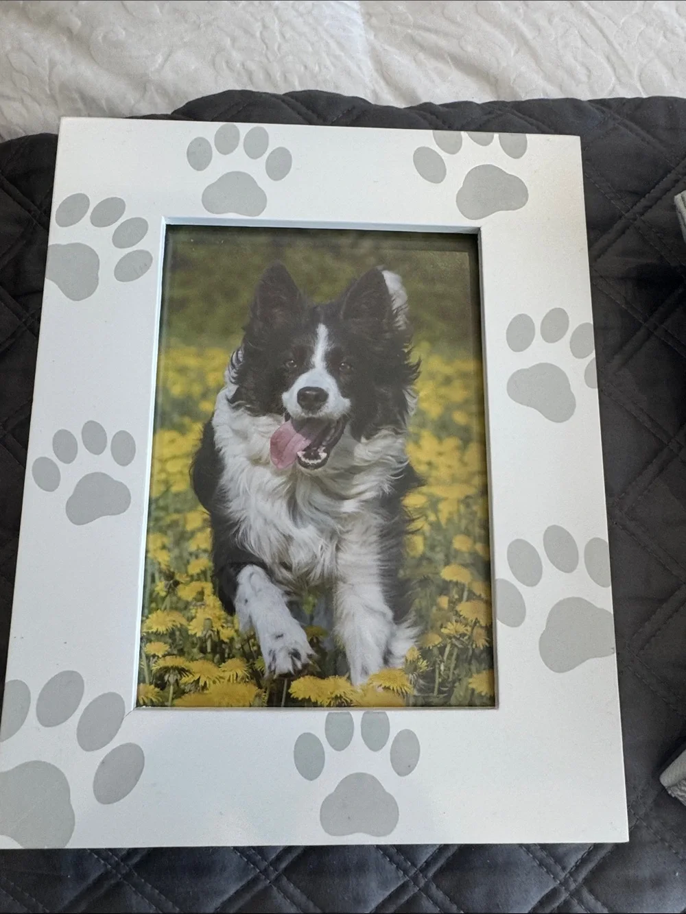 White Paw-Print Dog Photo Frame with Gray Paw Accents